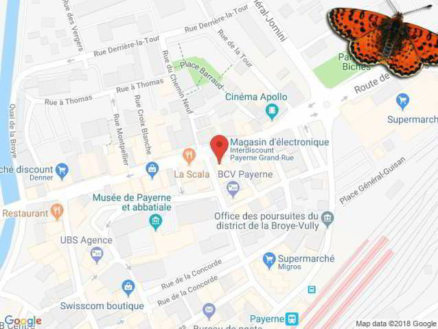 Ufficio & Commercio di null locali in affitto a Payerne - immagine 1/4