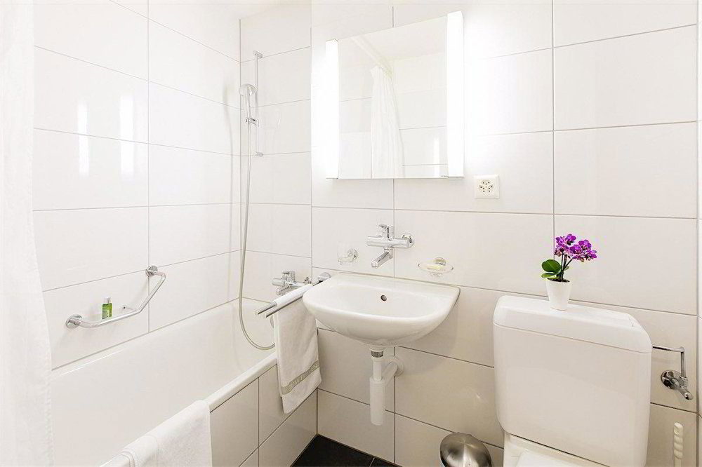 1 rooms Apartment for rent in Bâle - image 1/3