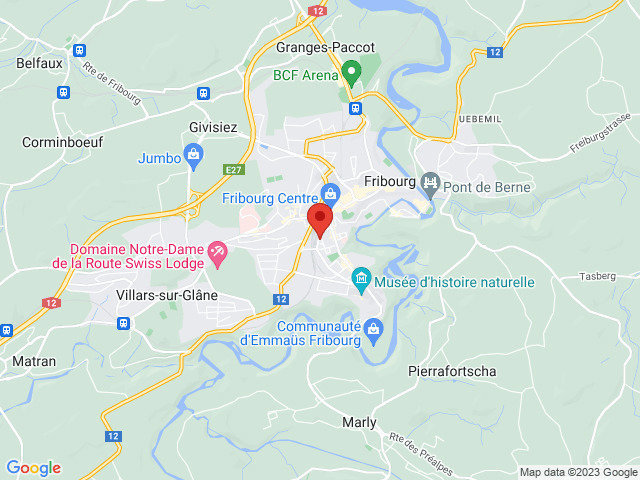 Ufficio & Commercio di null locali in affitto a Fribourg - immagine 1/8
