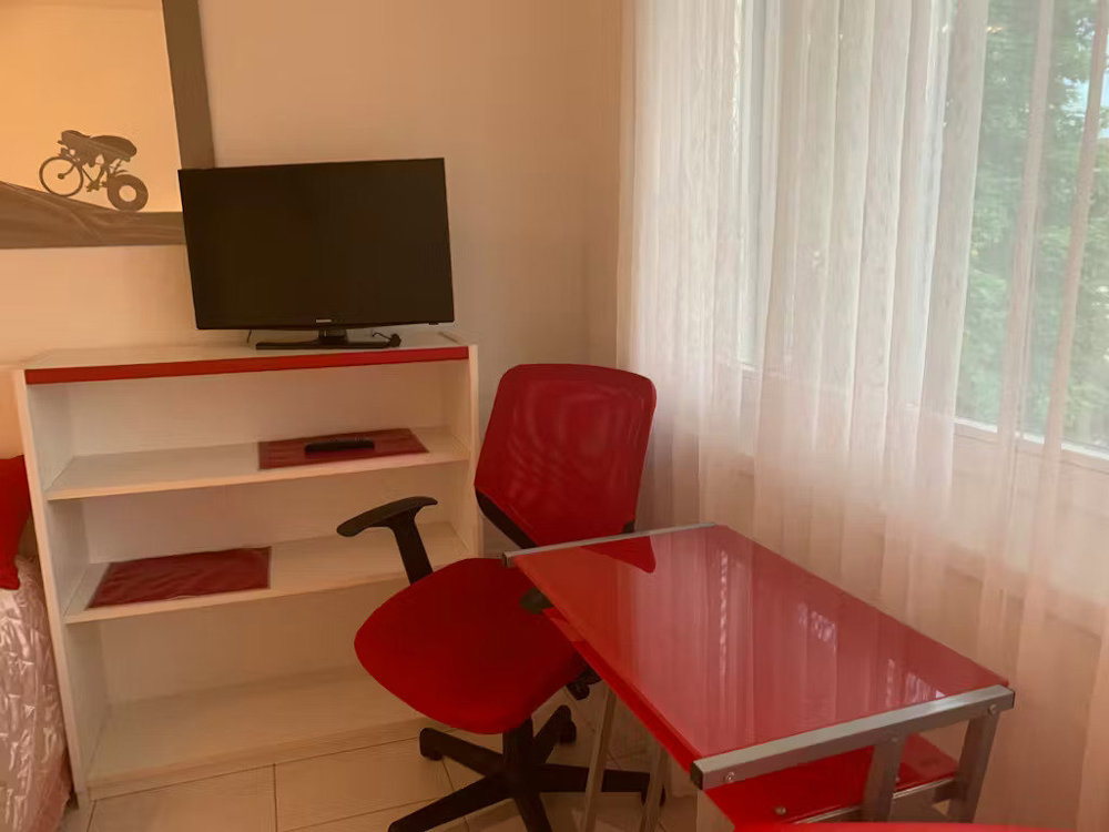 Appartamento di 1 locali in affitto a Buchs ZH - immagine 1/10