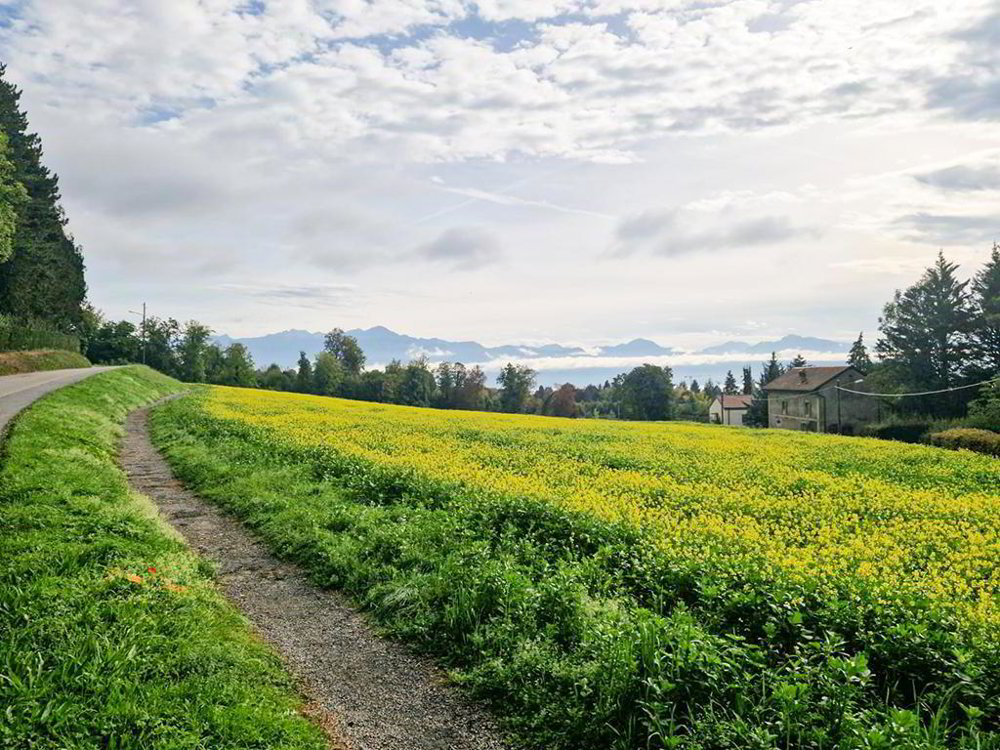 6 Zimmer Haus zum verkaufen in Prilly - Bild 1/3