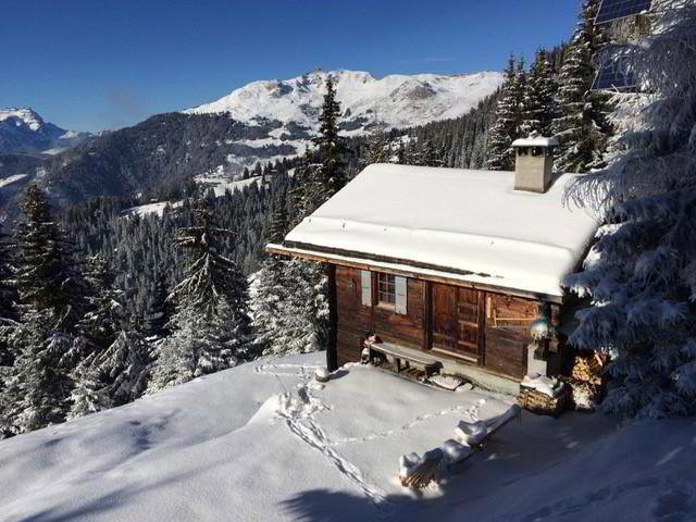3 rooms House to buy in Sarreyer - image 1/13