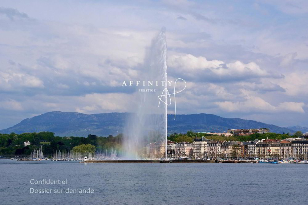 Appartamento di 11 locali in vendita a Genève - immagine 1/1