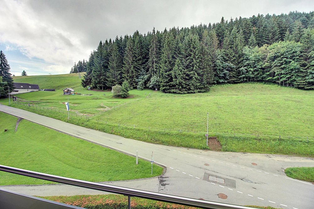 Appartamento di 2 locali in vendita a Torgon - immagine 1/7