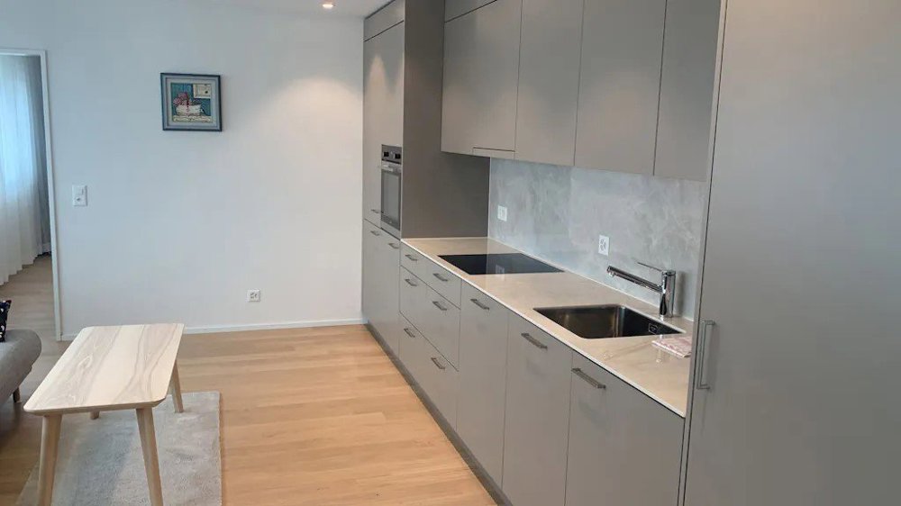 1 rooms Apartment for rent in Zurigo - image 1/10