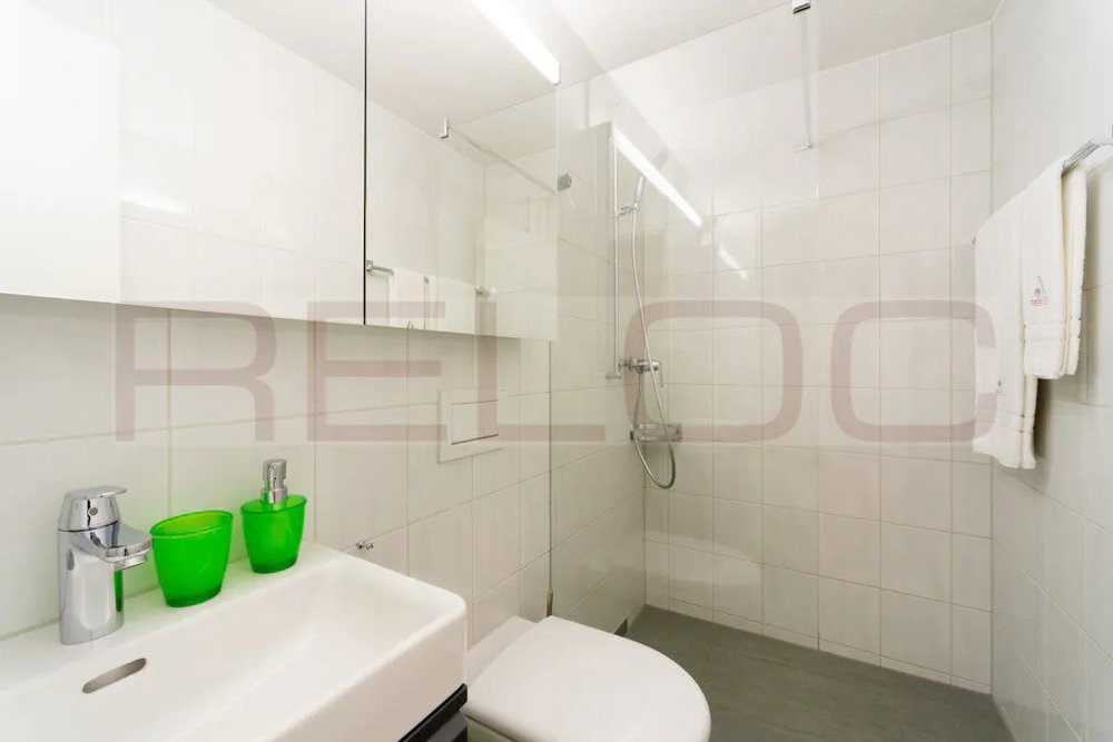 null rooms Apartment for rent in Wallisellen - image 1/7