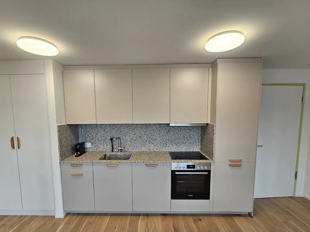 1 rooms Apartment for rent in Zürich - image 1/10