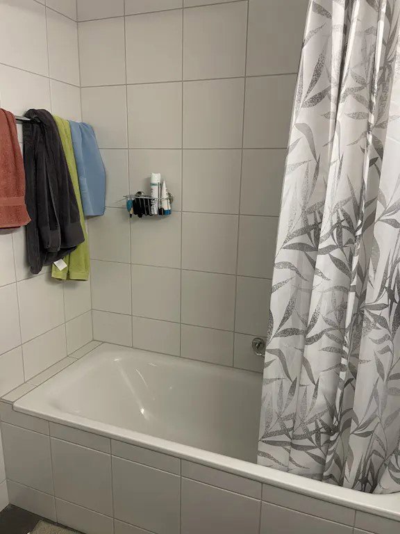 1 rooms Apartment for rent in Zürich - image 1/5