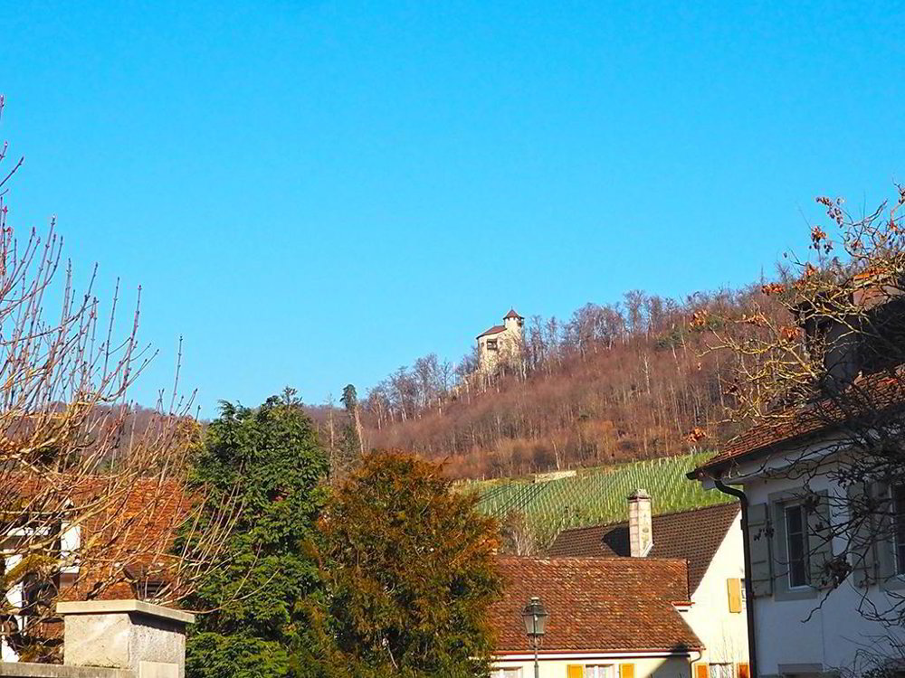 Maison 8 pièces à acheter à Arlesheim - image 1/4