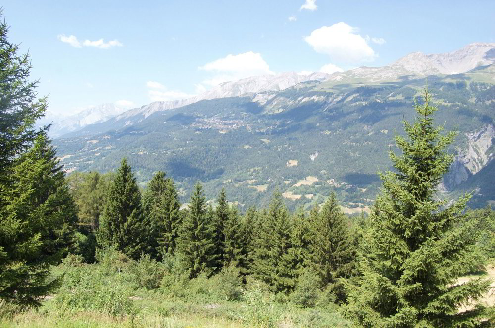 Maison 7.5 pièces à louer à Crans-Montana - image 1/26