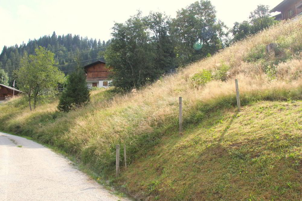null Zimmer Grundstuck zum verkaufen in Schwarzsee - Bild 1/12