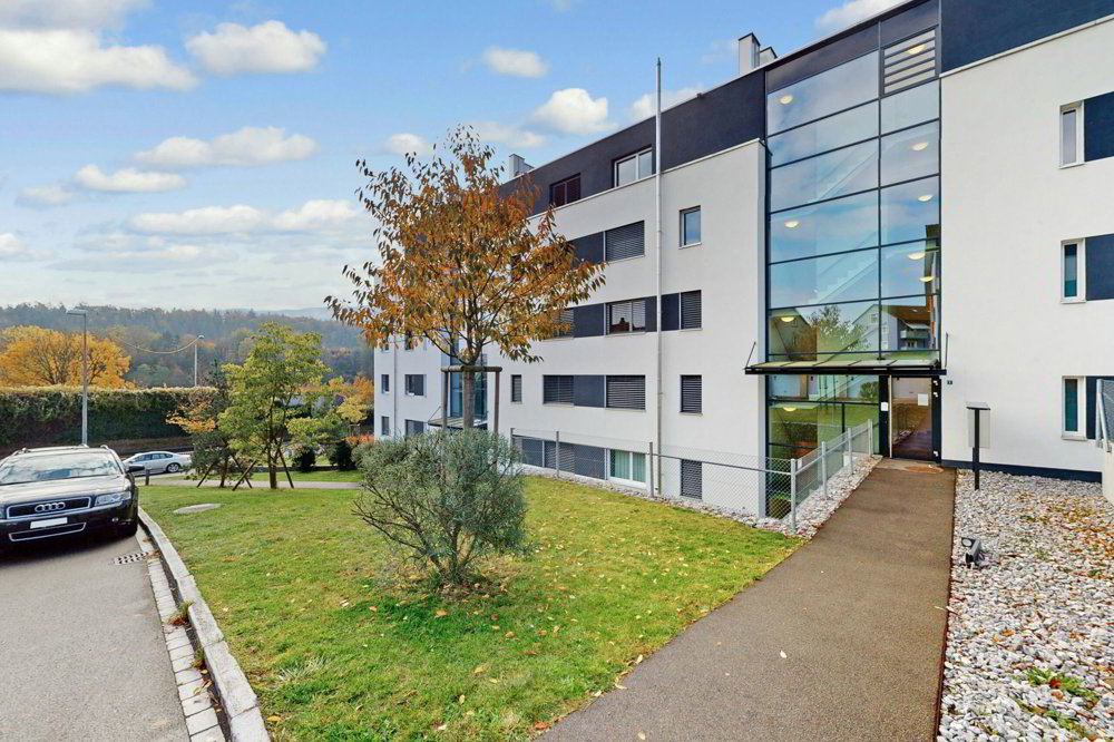 Ufficio & Commercio di null locali in affitto a Sciaffusa - immagine 1/2