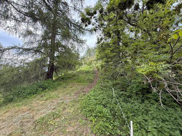 Terreno di null locali in vendita a Haute-Nendaz - immagine 1/4