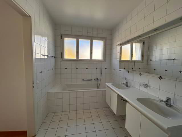Appartamento di 10.5 locali in vendita a Freiburg - immagine 1/13