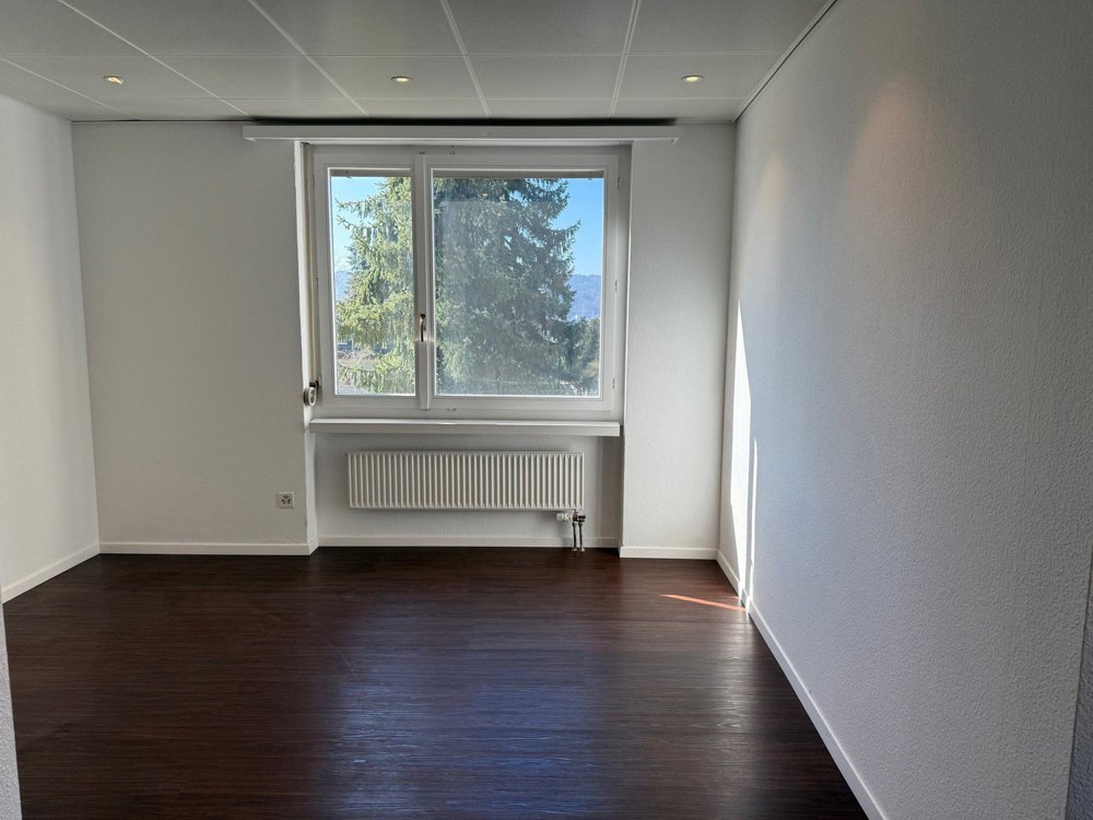 Bureau & Commerce null pièces à louer à Unterengstringen - image 1/13