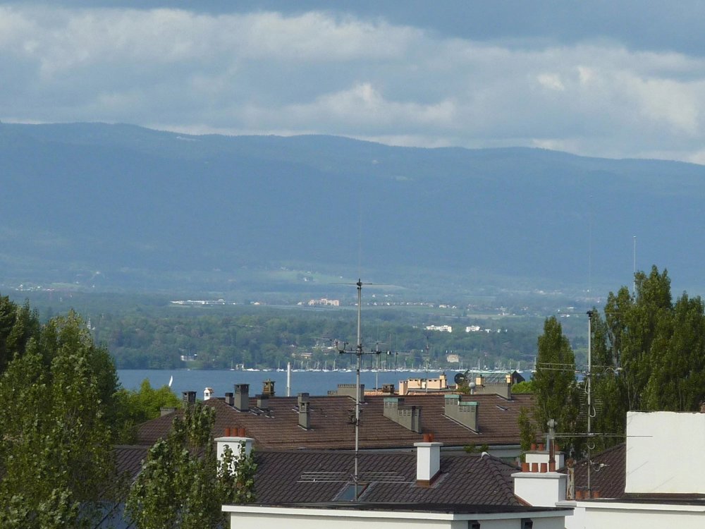 4 Zimmer Wohnung zum verkaufen in Geneva - Bild 1/5