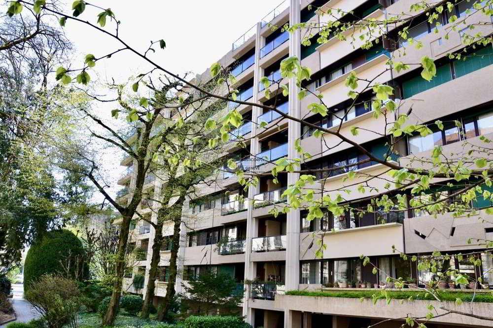 6 Zimmer Wohnung zum verkaufen in Ginevra - Bild 1/1