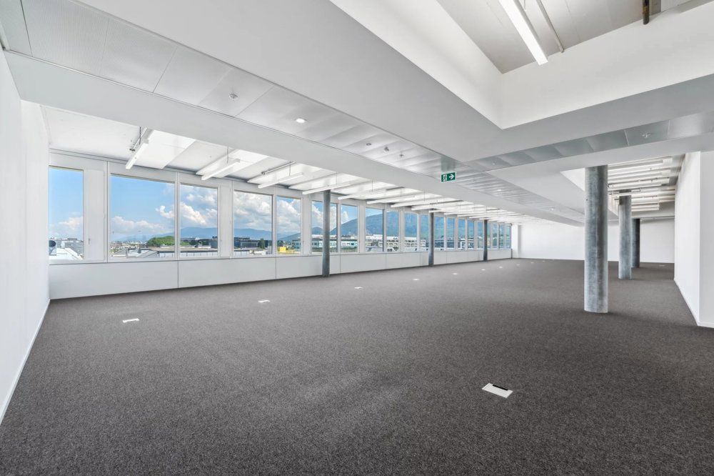 null rooms Office & Commercial for rent in Plan-les-Ouates - image 1/11