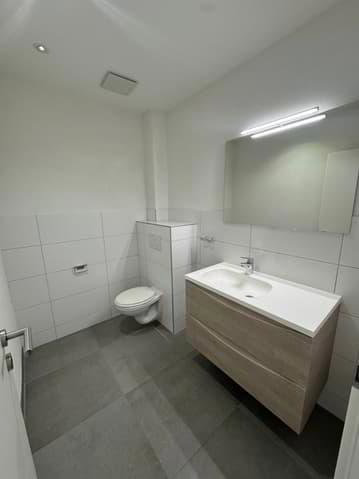 Ufficio & Commercio di 4.5 locali in affitto a Bouveret - immagine 1/13