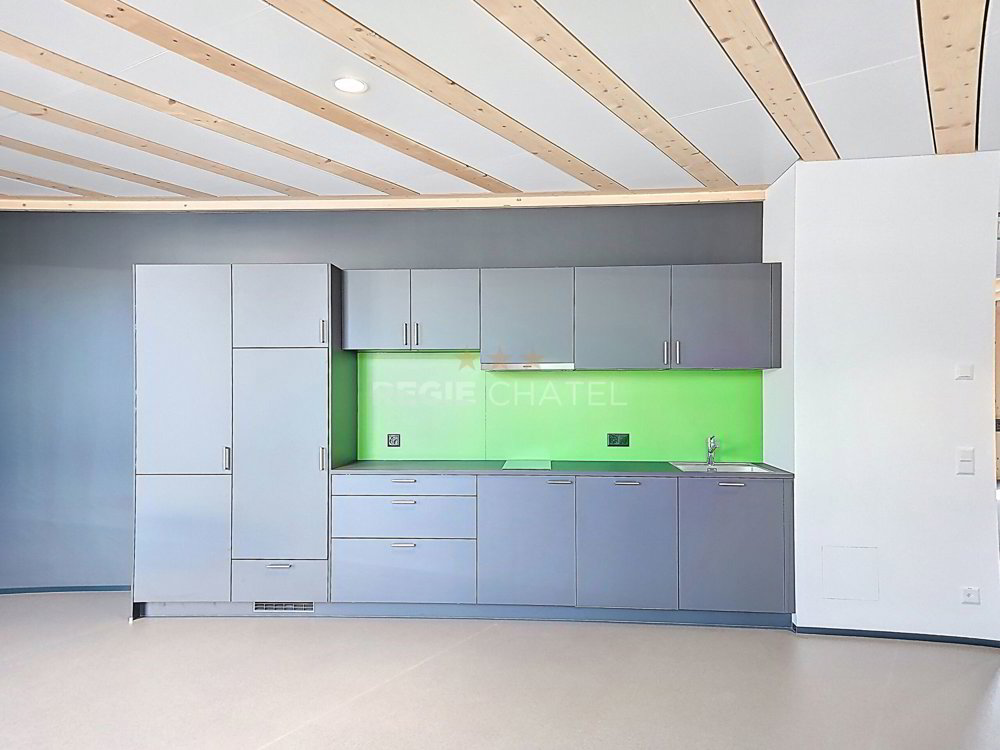 Ufficio & Commercio di null locali in affitto a Châtel-St-Denis - immagine 1/3