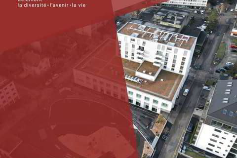 Bureau & Commerce null pièces à louer à Delémont - image 1/1