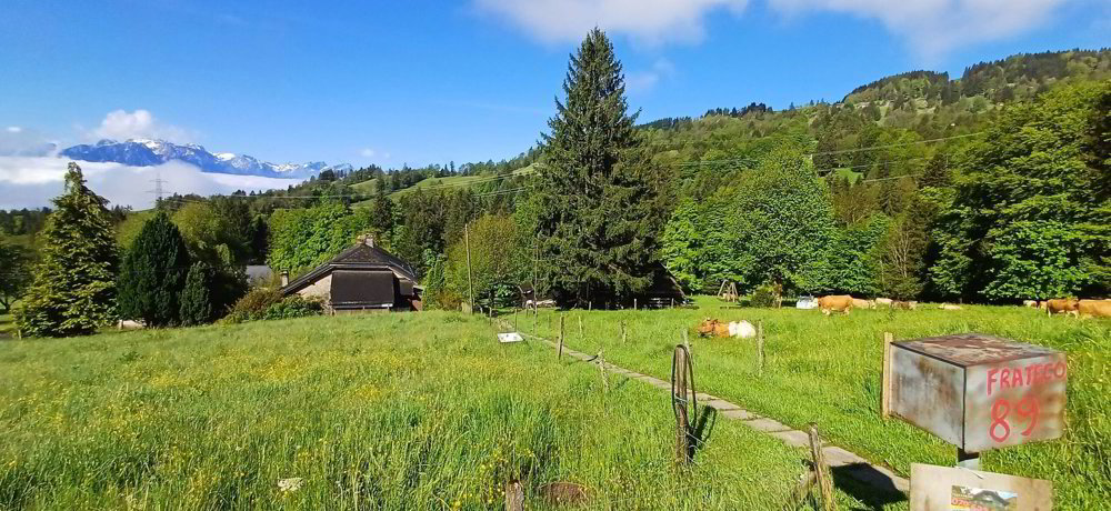 Haus – Villard-sur-Chamby - Ansicht 2