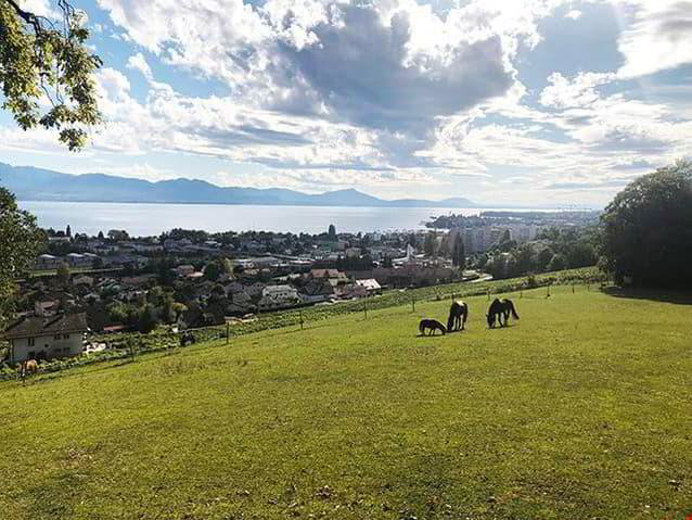 Maison null pièces à acheter à Morges - image 1/2