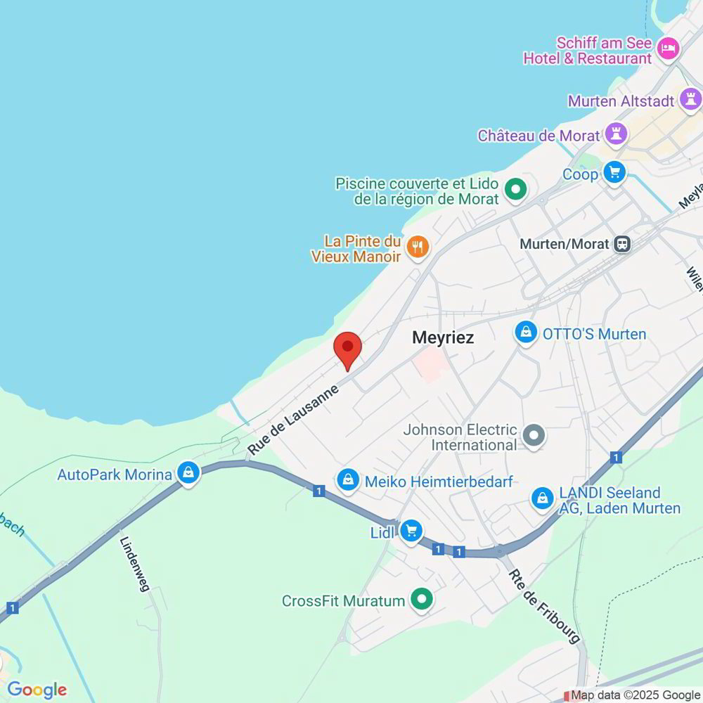 5.5 rooms House to buy in Meyriez - image 1/24