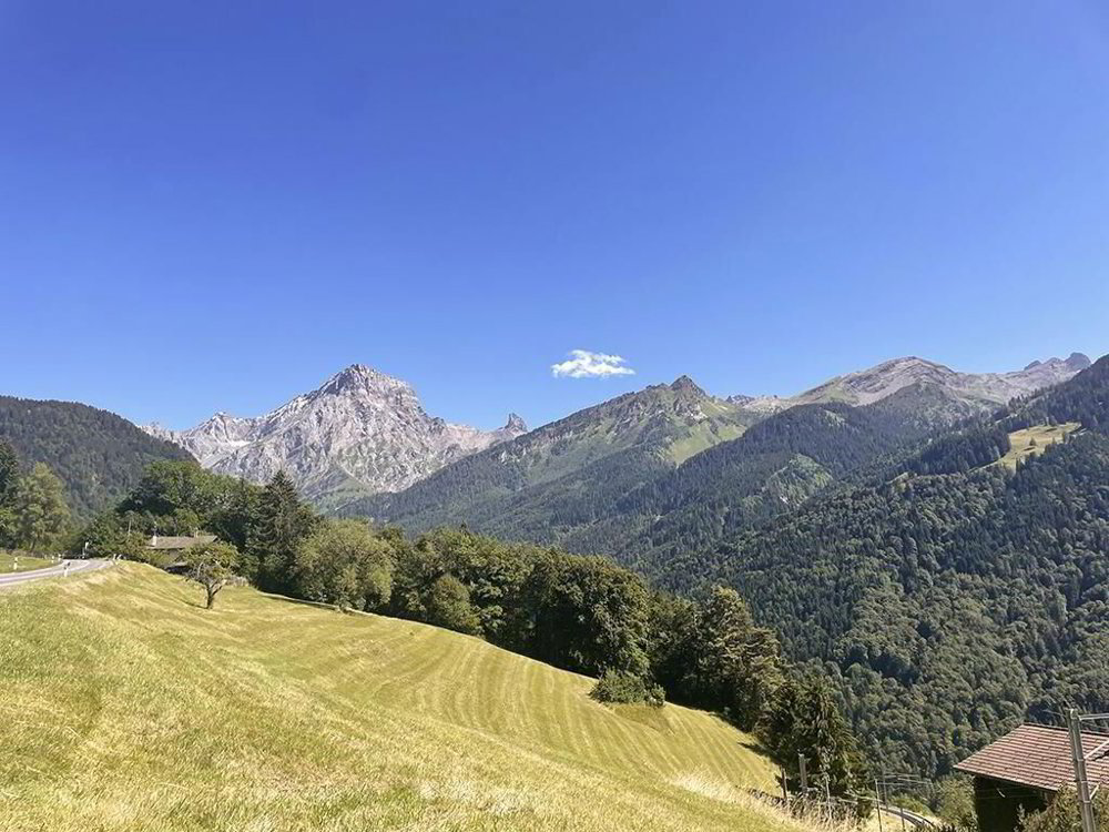 null rooms House to buy in Villars-sur-Ollon - image 1/3