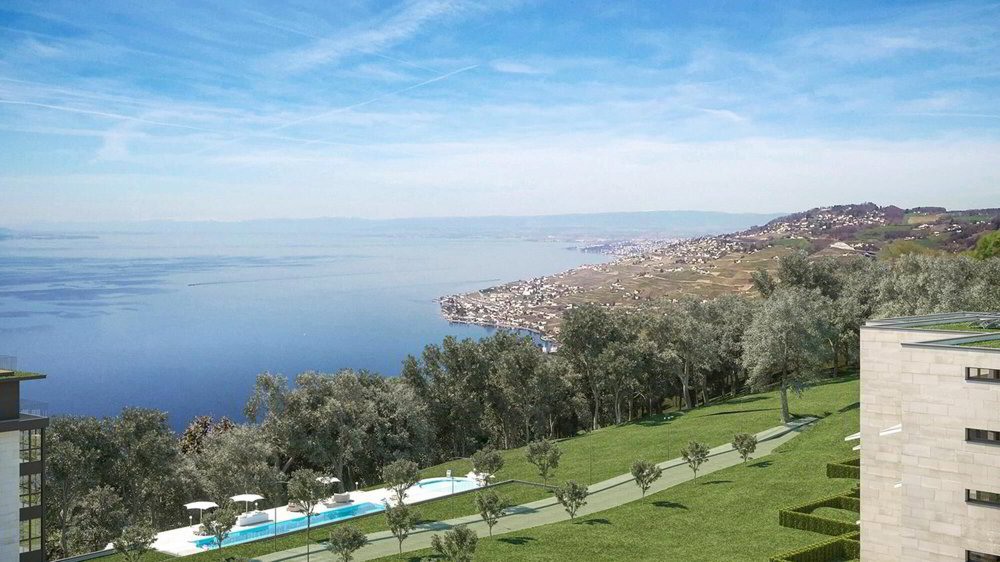 Appartamento di 3 locali in vendita a Puidoux - immagine 1/7