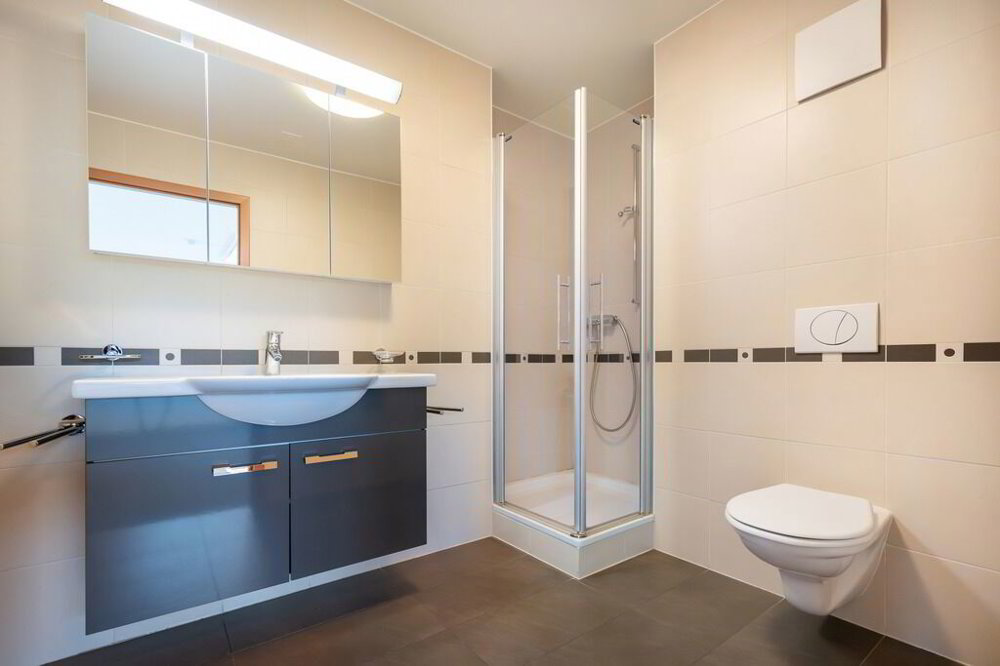 null rooms Office & Commercial for rent in Le Mont-sur-Lausanne - image 1/8