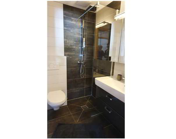4.5 rooms Apartment to buy in Château-d'Oex - image 1/8