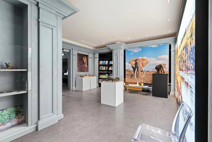 Local commercial 430 m² rue commerçante