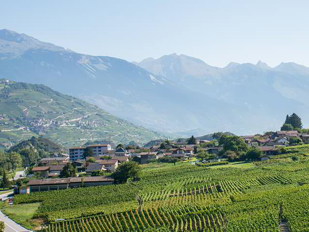 Terreno di null locali in vendita a Grône - immagine 1/1