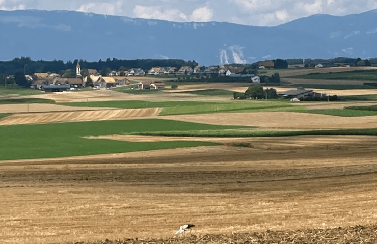 5 Zimmer Haus zum verkaufen in Poliez-le-Grand - Bild 1/10