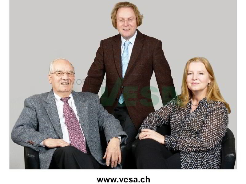 Ufficio & Commercio di null locali in vendita a Mendrisio - immagine 1/15