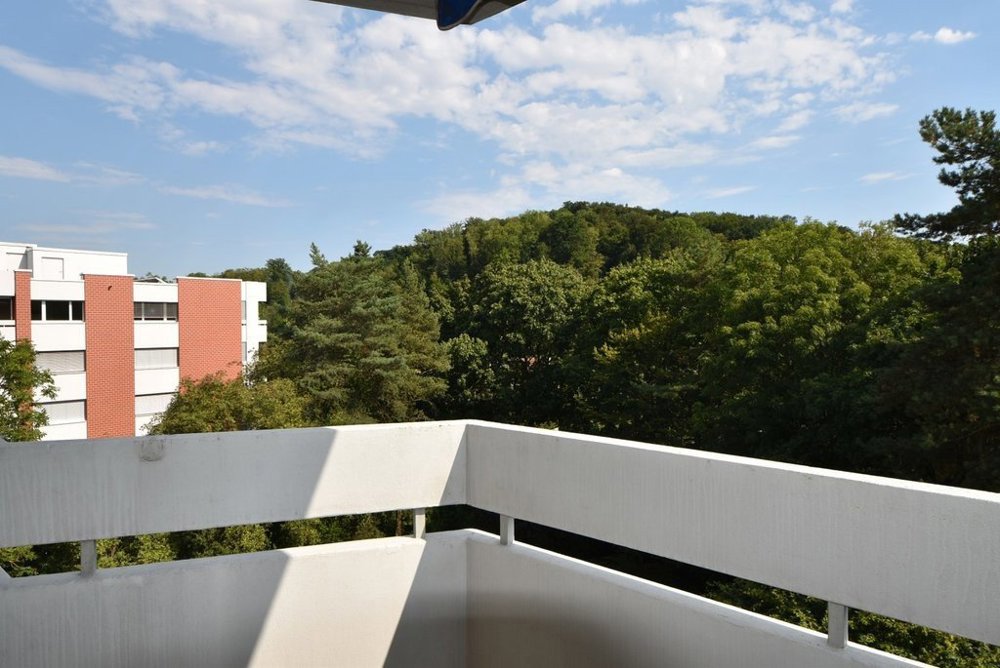 3.5 Zimmer Wohnung zu vermieten in Muttenz - Bild 1/9