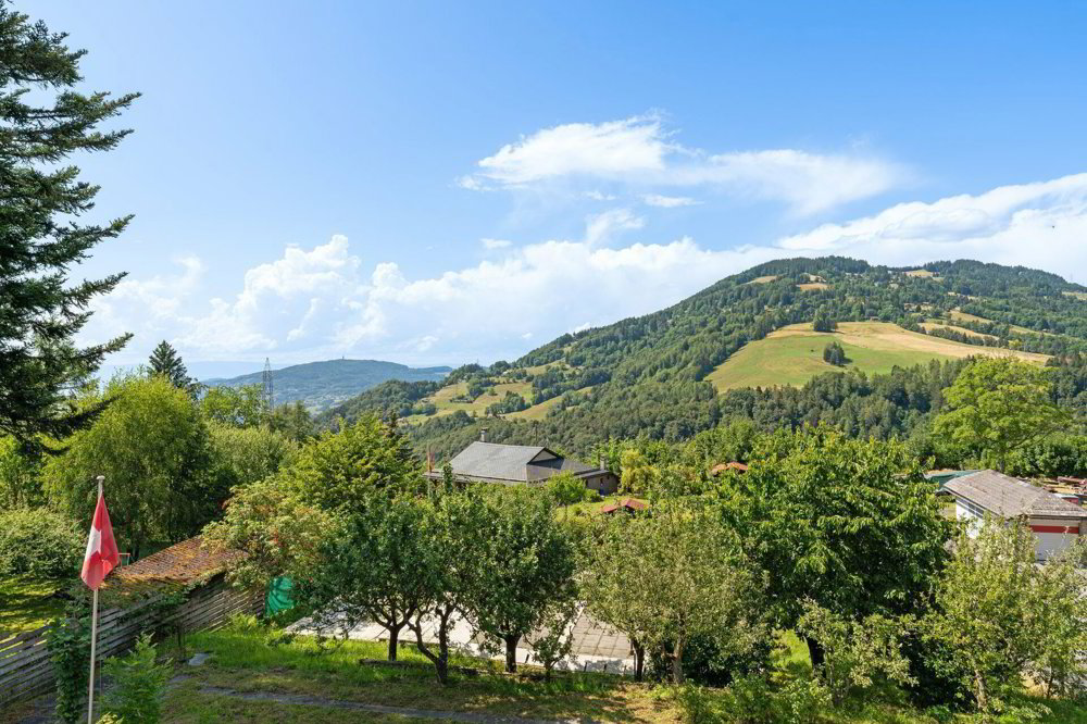 4.5 Zimmer Haus zum verkaufen in Villard-sur-Chamby - Bild 1/14