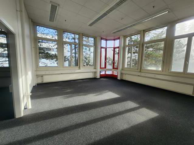 Ufficio & Commercio di 13 locali in affitto a Neuchâtel - immagine 1/13