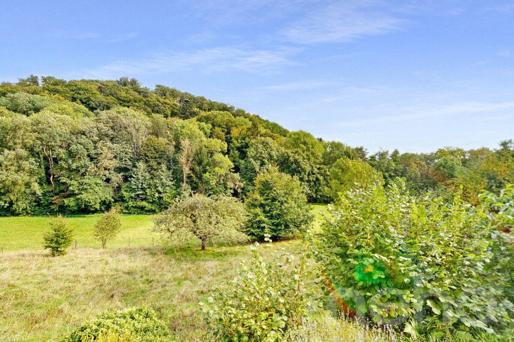 Terreno di null locali in vendita a Le Mont-sur-Lausanne - immagine 1/12