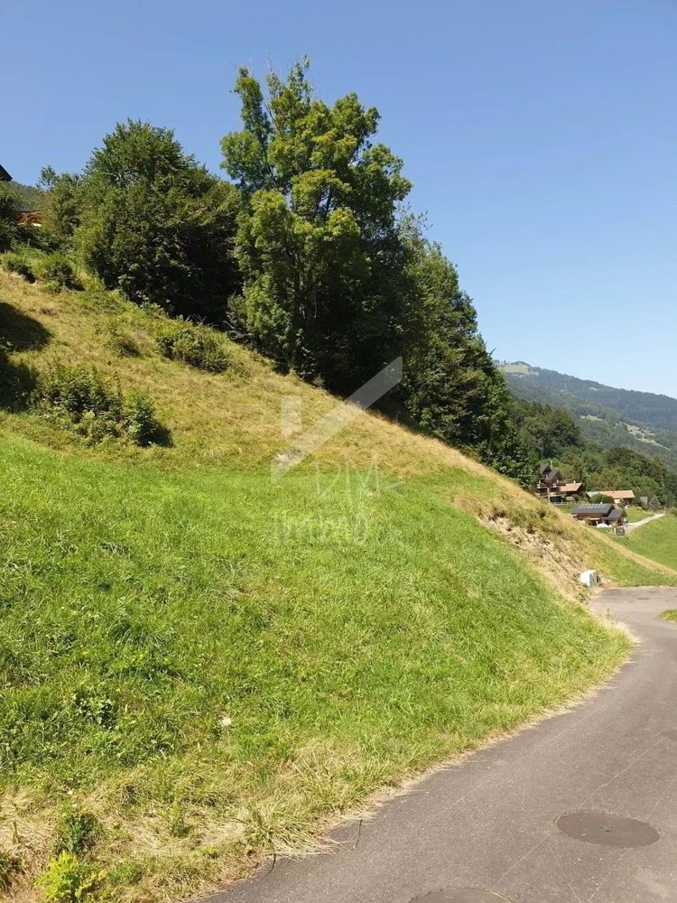 Terrain null pièces à acheter à Val-d'Illiez - image 1/3