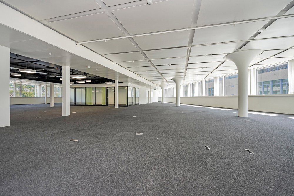 Openspace Büro - Flexibel & Anpassungsfähig, perfekt für Ihr Business - Ansicht 3