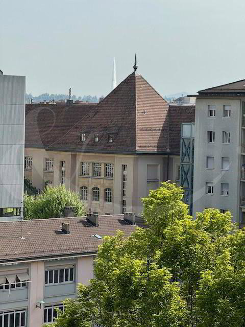 Bureau & Commerce null pièces à louer à Genf - image 1/2