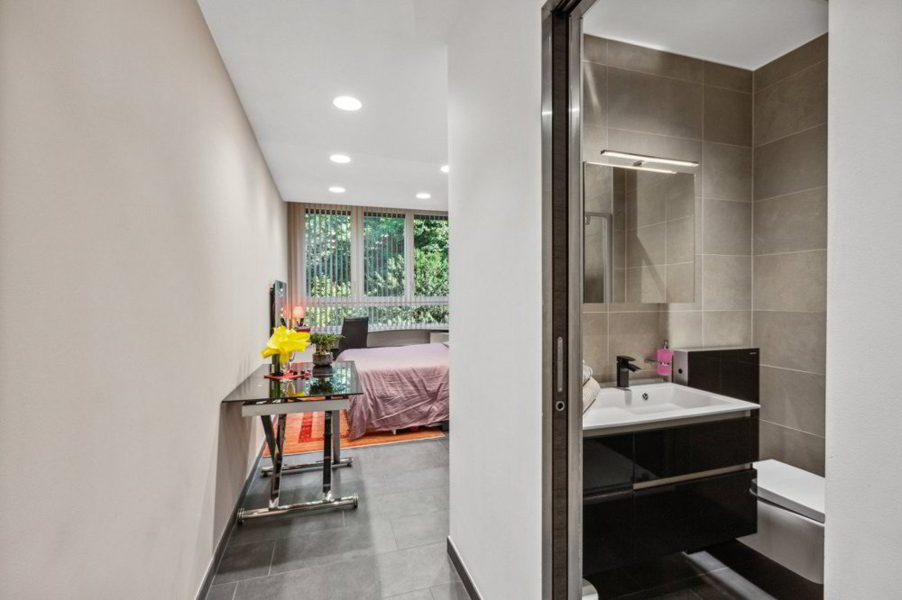 1 rooms Apartment for rent in Geneva - image 1/6