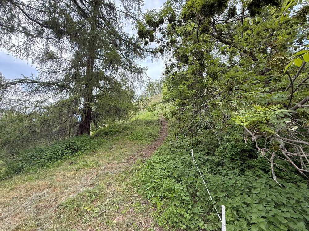Terreno di null locali in vendita a Siviez (Nendaz) - immagine 1/4