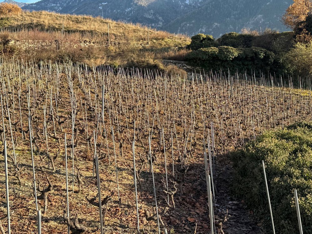 Terreno di null locali in vendita a St-Léonard - immagine 1/6