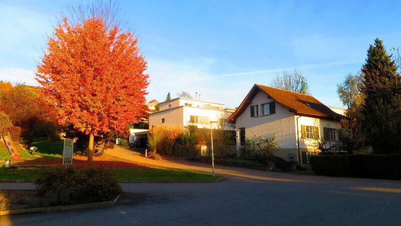 Casa di 5 locali in affitto a Worb - immagine 1/4
