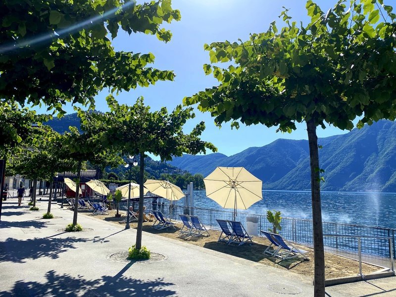 Appartamento di 2 locali in affitto a Viganello - immagine 1/10