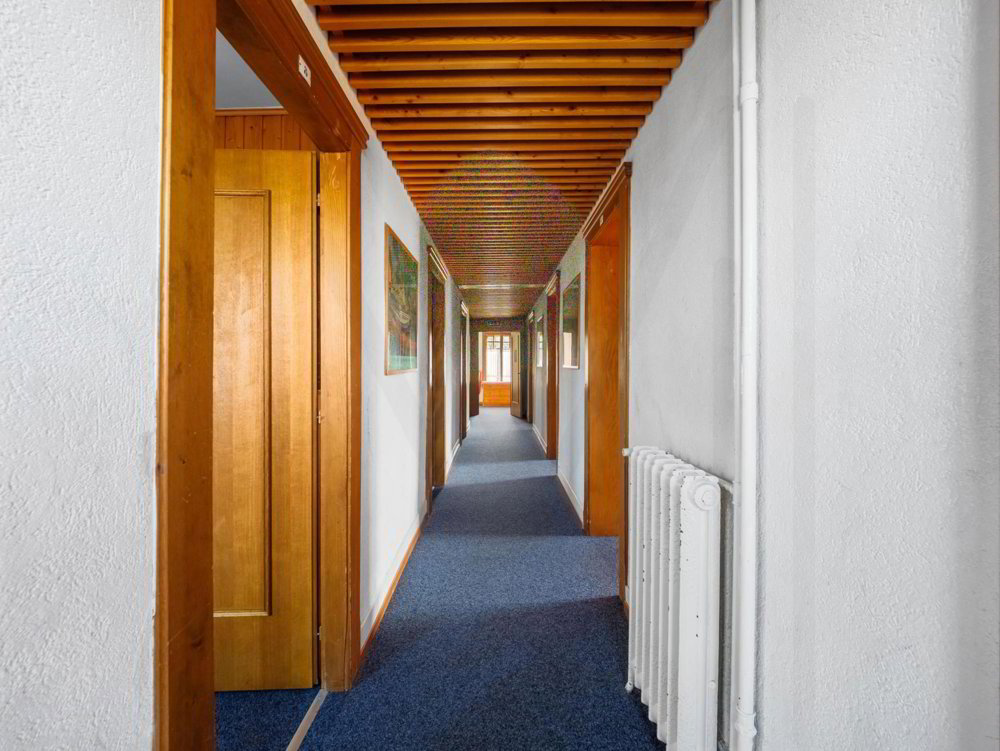 Ufficio & Commercio di 66 locali in vendita a Gruyères - immagine 1/13