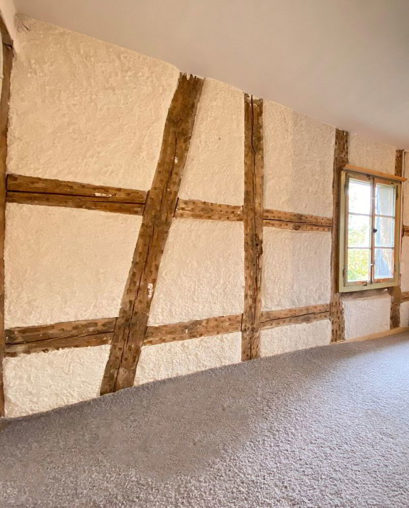 Maison 6 pièces à acheter à Wetzikon ZH - image 1/5